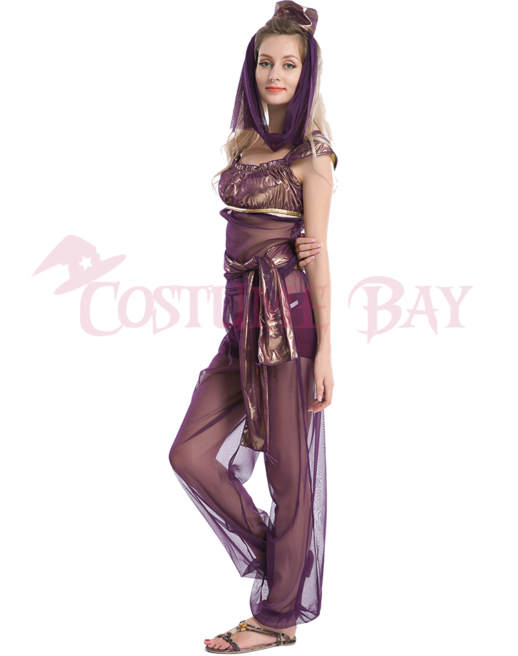 Womens Blue Purple Pink Genie Jasmine Aladdin Belly Dance Fancy Dress Costume | eBay Womens Blue Purple Pink Genie Jasmine Aladdin Belly Dance Fancy Dress Costume | eBay