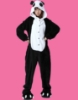 Picture of Panda Onesie