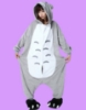 Picture of Adult Totoro Onesie Kigurumi