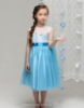 Picture of Frozen Elsa - Satin Tulle Dress