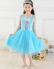 Picture of Frozen Elsa - Satin Tulle Dress