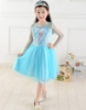 Picture of Frozen Elsa - Satin Tulle Dress