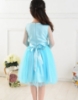 Picture of Frozen Elsa - Satin Tulle Dress