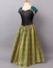 Picture of Frozen Princess Anna Dress