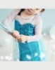 Picture of Frozen Princess Elsa Anna Costume Dress