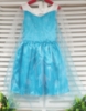 Picture of Frozen Princess Elsa Costume Dress