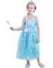 Picture of Frozen Princess Elsa Costume Dress