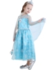 Picture of Frozen Princess Elsa Costume Dress