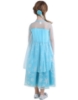 Picture of Frozen Princess Elsa Costume Dress