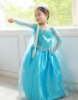 Picture of Frozen Princess Elsa Dress