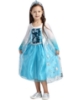 Picture of Frozen Princess Elsa Snow Queen Costume Dress