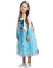 Picture of Frozen Princess Elsa Snow Queen Costume Dress