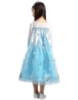 Picture of Frozen Princess Elsa Snow Queen Costume Dress