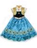 Picture of Princess Anna Frozen Costume Dress