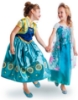 Picture of Princess Anna Frozen Costume Dress