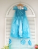 Picture of Princess Elsa Frozen Costume Dress