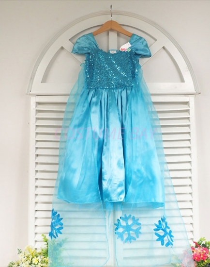 Picture of Princess Elsa Frozen Costume Dress