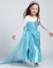 Picture of Princess Elsa Frozen Costume Dress