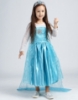 Picture of Princess Elsa Frozen Costume Dress