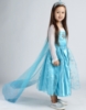 Picture of Princess Elsa Frozen Costume Dress