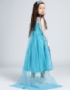 Picture of Princess Elsa Frozen Costume Dress