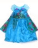 Picture of Princess Elsa Frozen Costume Dress