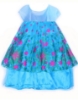 Picture of Princess Elsa Frozen Costume Dress