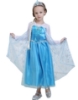 Picture of Princess Elsa Frozen Costume Dress