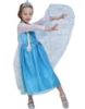 Picture of Princess Elsa Frozen Costume Dress