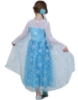 Picture of Princess Elsa Frozen Costume Dress