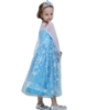 Picture of Princess Elsa Frozen Costume Dress