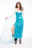 Picture of Adult Women's Frozen Princess Elsa Dress Costume