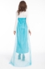 Picture of Adult Women's Frozen Princess Elsa Dress Costume