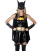 Picture of Superhero Supergirl Batgirl Batwoman Costume