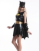 Picture of Superhero Supergirl Batgirl Batwoman Costume