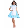 Picture of Ladies Alice In Wonderland Costume