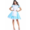 Picture of Ladies Alice In Wonderland Costume