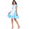 Picture of Ladies Alice In Wonderland Costume