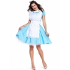 Picture of Ladies Alice In Wonderland Costume