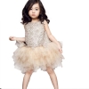 Picture of Girls Wedding Bridesmaid Flower Party Princess Formal Ball Lace Tutu Dress