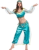 Picture of Princess Jasmine Arabian Belly Dancer Costume