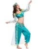 Picture of Princess Jasmine Arabian Belly Dancer Costume