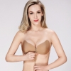 Picture of Strapless Push Up Stick On Bra