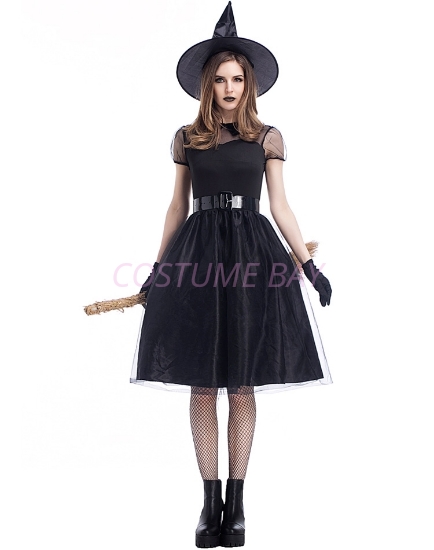 Picture of Womens Wicked Witch Costume