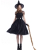 Picture of Womens Wicked Witch Costume