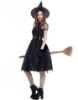 Picture of Womens Wicked Witch Costume