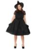 Picture of Womens Wicked Witch Costume PLUS SIZE