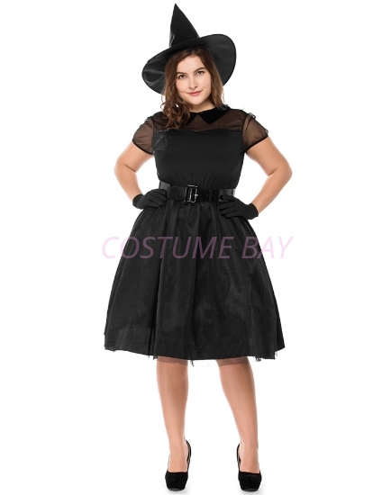 Picture of Womens Wicked Witch Costume PLUS SIZE