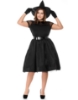 Picture of Womens Wicked Witch Costume PLUS SIZE