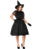 Picture of Womens Wicked Witch Costume PLUS SIZE